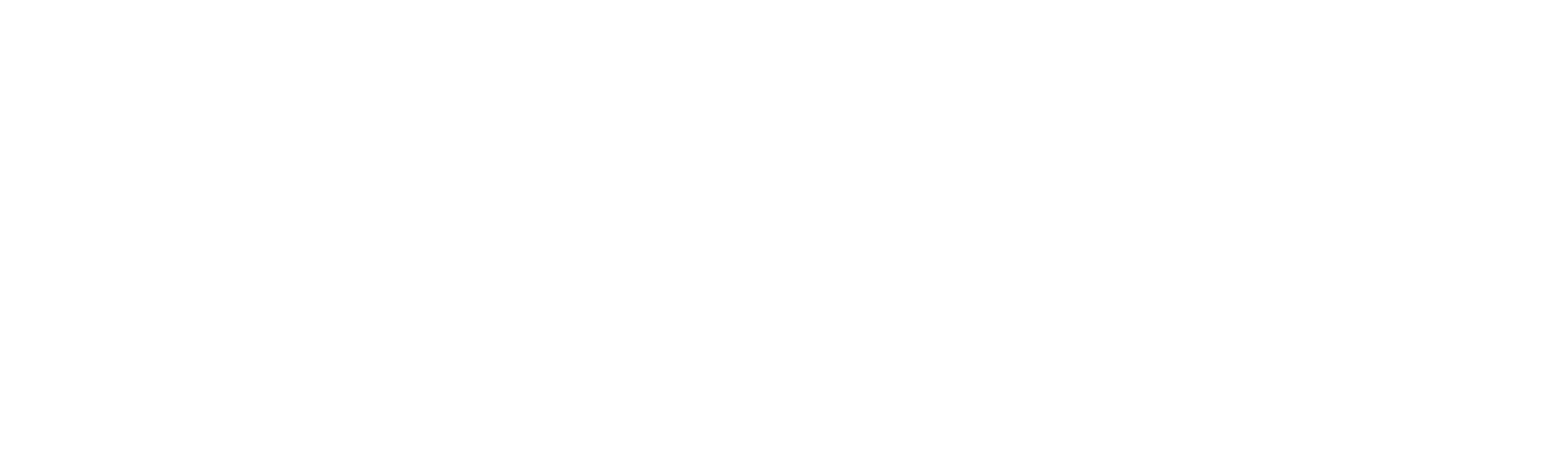 Business Coordinator at BIZNET